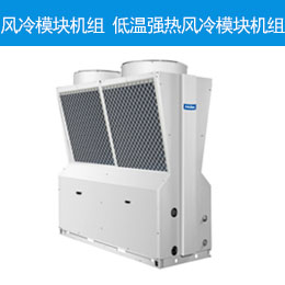 風(fēng)冷模塊機組 低溫強熱風(fēng)冷模塊機組